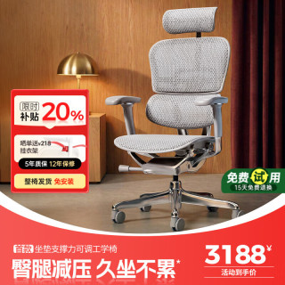 Ergonor 保友金豪E2 Pro人体工学椅 办公椅电脑椅 银白网