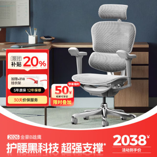 Ergonor 金豪B 2代 人体工学电脑椅 银白色 美国网款