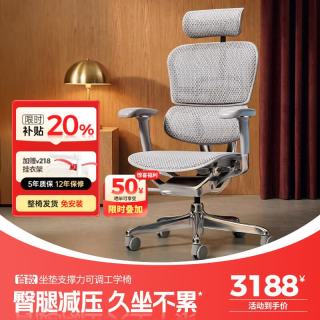 Ergonor 人体工学椅  办公椅、电脑椅、电竞椅 银白美国网