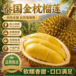 松筱 泰国金枕榴莲 2-3斤/个