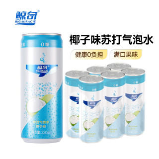 鲸奇 气泡水椰子味苏打水