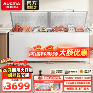 澳柯玛 商用大容量冰柜 卧式大冷柜 828L
