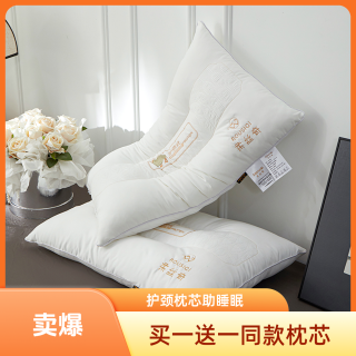  护颈枕枕头枕芯家用护颈椎助睡眠学生宿舍