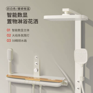汉德斯科 恒温淋浴花洒套装沐浴器全铜增压花洒淋浴家用浴室淋雨喷头大置物