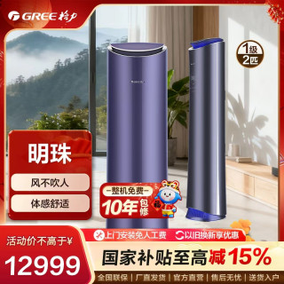 格力 •明珠变频冷暖2匹1级能效柜机空调客厅立式空调立式(黛山紫)