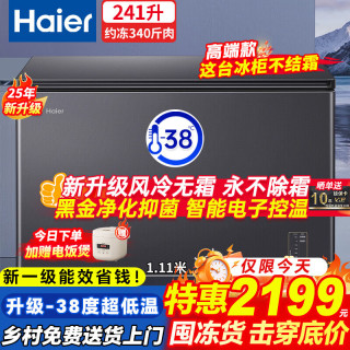 海尔 一级能效节能冰柜家用200/300升大容量商用冷藏冷冻转换家用小型海鲜 241升 长1.1米丨零下38度