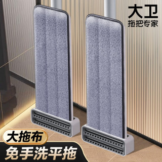 大卫 P10 平板拖把套装 2块布