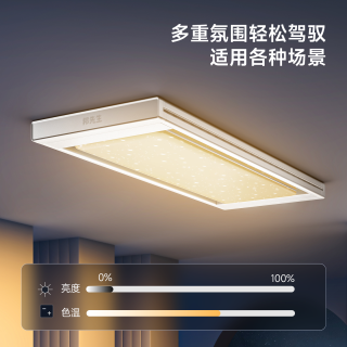 邦先生 隐形电动晾衣架66pro晒网平铺星空灯阳台升降