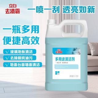 立白 去渍霸 多用途清洁剂 3.78L 强力去污水垢 瓷砖不留水渍