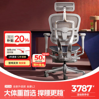 Ergonor 保友金豪L2电竞人体工学椅超强精准承托 久坐家用办公老板座椅 银白网(云感科技坐垫)+躺舒宝 整椅发货 送货上门
