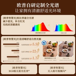 欧普照明 苍风FS 隐形风扇吊灯