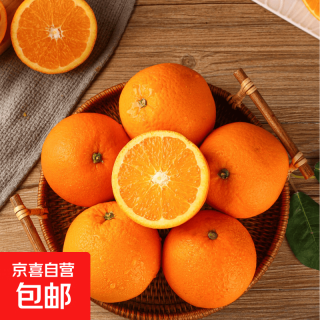  加伦 晚夏橙脐橙 65-70mm 9斤