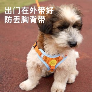 派多奇 背心式狗狗牵引绳小型犬泰迪比熊博美防丢胸背带宠物狗链子遛狗绳