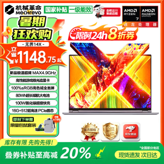 机械革命 锐龙R7H独显级游戏全能本 笔记本电脑 锐龙R7 H255 16G 512G 高色域