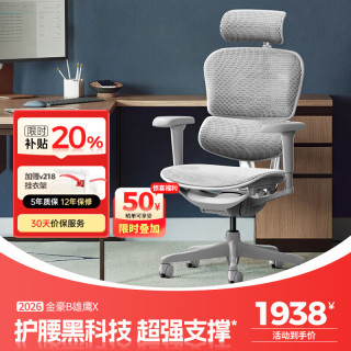 Ergonor 金豪B 2代 人体工学电脑椅 银白色 美国网款