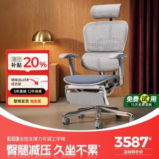 Ergonor 保友金豪E2 Pro人体工学椅 办公椅电脑椅银白云感座垫+躺舒宝 银白(云感科技座垫)+躺舒宝