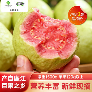 珍山辛农 国产新鲜芭乐 120g*4 组合款