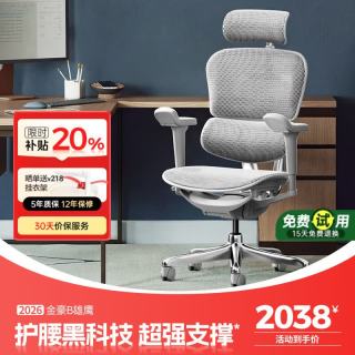 Ergonor 金豪B 2代 人体工学电脑椅 银白色 美国网款