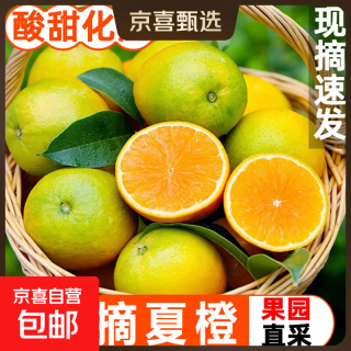 京喜加 新鲜夏橙 4.25kg 60mm起
