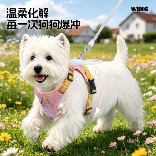 KimPets 狗狗牵引绳胸背带天使翅膀大中小型犬外出专用遛狗绳子链子防挣脱