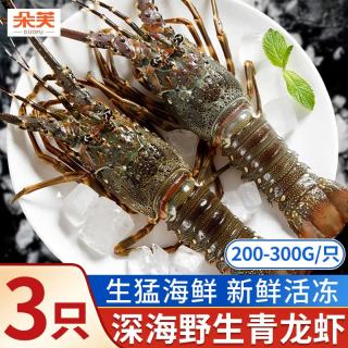 朵芙 DOOV 朵芙 海捕小青龙虾 4-6两*3只