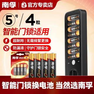 南孚 LR6AA 5号碱性电池 1.5V