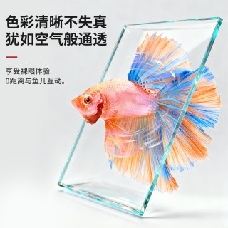 宝宁 2026新款玻璃缸金鱼缸家用客厅小型桌面水族箱生态长方形裸缸
