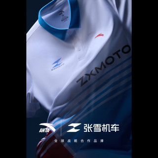 安踏 张雪机车联名男款POLO衫