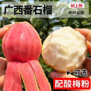 纯香果 Chunxiangguo 纯香果 国产软糯白红心芭乐 5斤