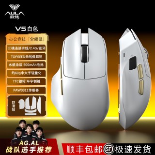 狼蛛 V5蓝牙无线鼠标电竞游戏电脑办公办公轻量化右手工学鼠标