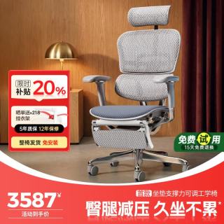 Ergonor 保友金豪E2 Pro人体工学椅 办公椅电脑椅银白云感座垫+躺舒宝 银白(云感科技座垫)+躺舒宝