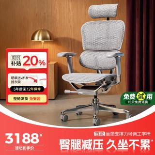 Ergonor 保友金豪E2 Pro人体工学椅 办公椅电脑椅 银白网