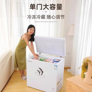 荣事达 单温无霜 全冷冻冷藏转换 冷柜