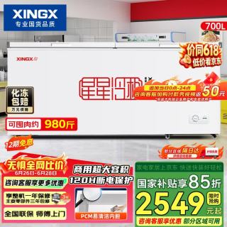 星星 700L商用冰柜微霜冷柜