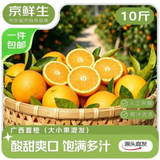 京鲜生 广西夏橙榨汁橙 净重10斤 大小果混发 源头直发 包邮