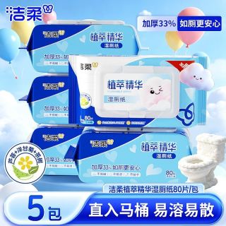 百亿补贴：洁柔 湿厕纸 80片*1包