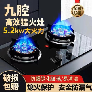 兴旺好太太 家用燃气灶煤气灶双灶两用九腔猛火燃气灶液化气天然气