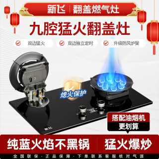 新飞 旗舰店天然气煤气灶双灶家用猛火新款官方正品燃气灶