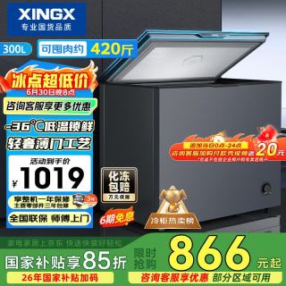 星星 300L单温家用冰柜