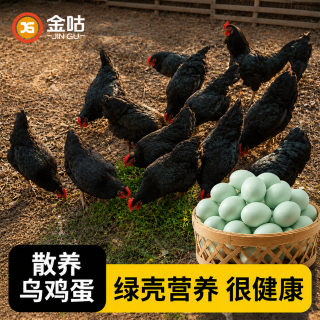 金咕 正宗农家乌鸡蛋绿壳鸡蛋新鲜鸡蛋土鸡蛋农家散养甄选生鲜士鸡蛋30枚