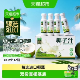 耶气满满 椰汁 300ml*6瓶