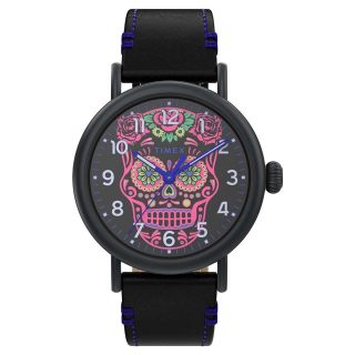 TIMEX 男士手表 TW2V67600 黑色表带