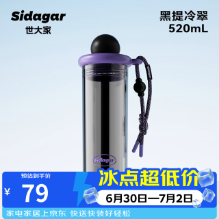 世大家 水杯女生塑料杯大容量户外便携吸管杯tritan车载随行杯 黑提冷萃 520ML