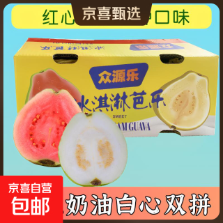 京喜加 广东红心芭乐 1.5kg