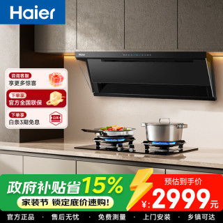 海尔 抽油烟机顶侧双吸变频30m³吸力家用省电一级能效排烟机热熔洗吸烟机 爆炒30风量