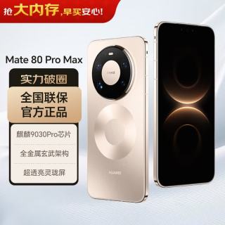 华为 Mate 80 Pro Max 手机 16GB+512GB 极昼金