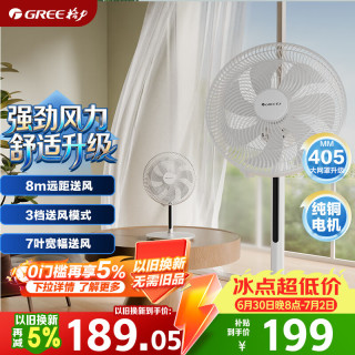 格力 大风量电风扇家用随温变落地扇轻音节能立式智能遥控风扇易拆洗家用电扇FD-35X71Bh7