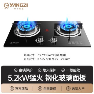 扬子 天然气燃气灶具家用嵌入式液化气双灶煤气一级能效节能炉灶
