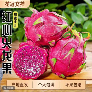 果迎鲜 广西红心火龙果 金都一号 新鲜水果 金都一号 红肉蜜宝 净果4.5斤4-8个装
