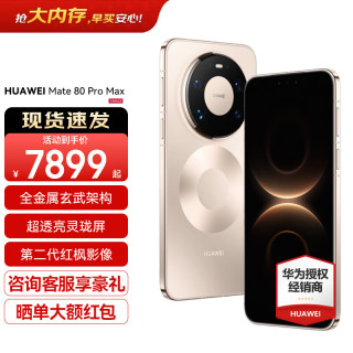 华为 Mate 80 Pro Max 手机 16GB+512GB 极昼金